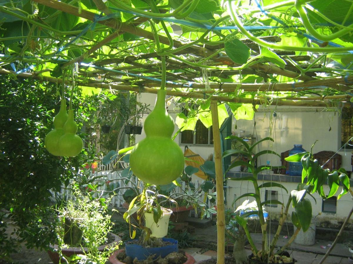 Coco Happy Farm Villa Ben Tre Exteriör bild