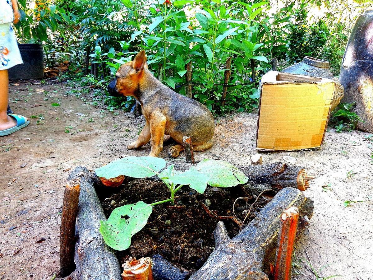 Coco Happy Farm Villa Ben Tre Exteriör bild