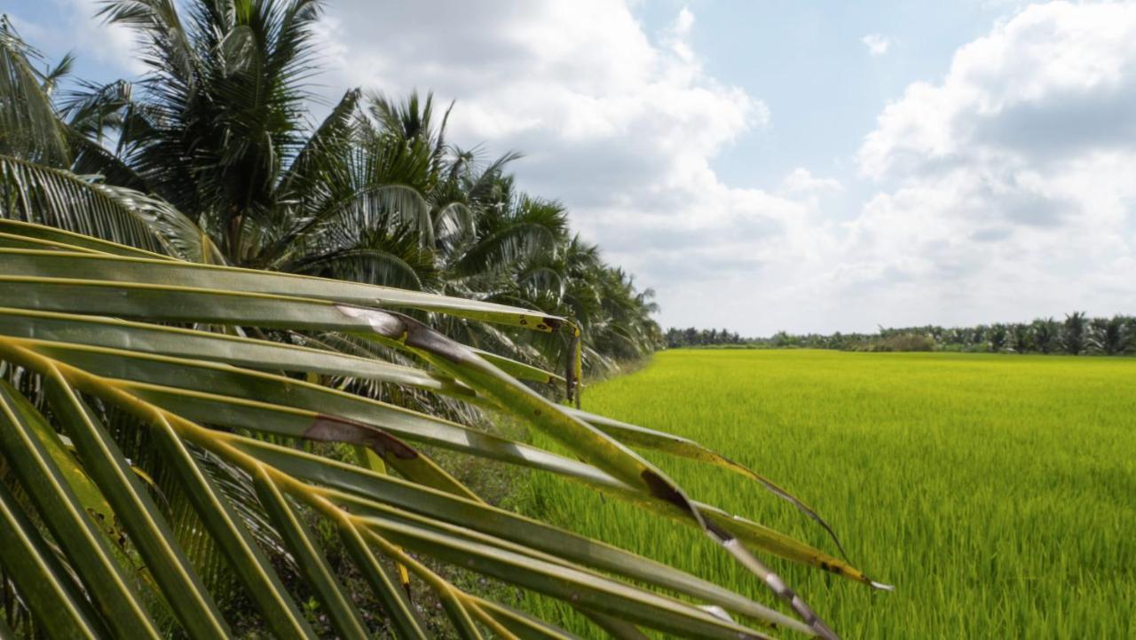 Coco Happy Farm Villa Ben Tre Exteriör bild