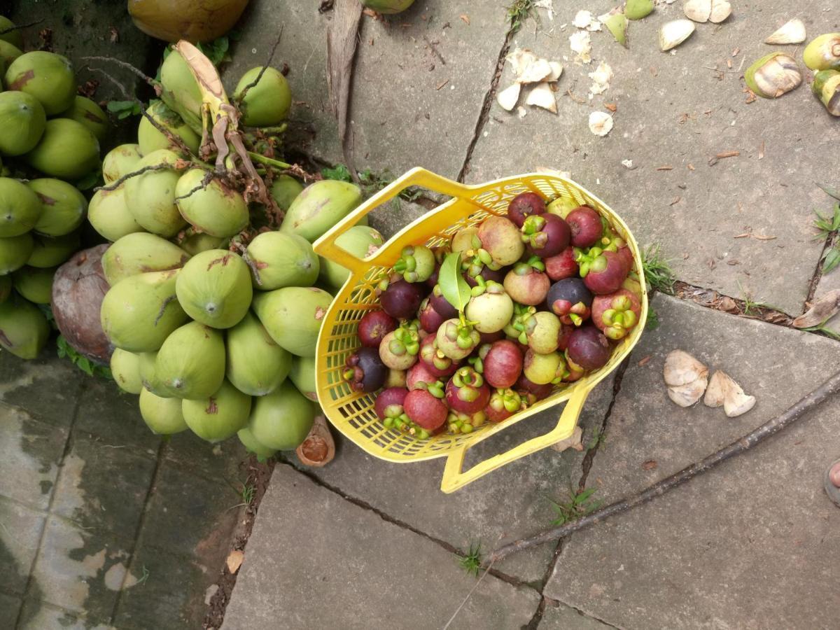 Coco Happy Farm Villa Ben Tre Exteriör bild