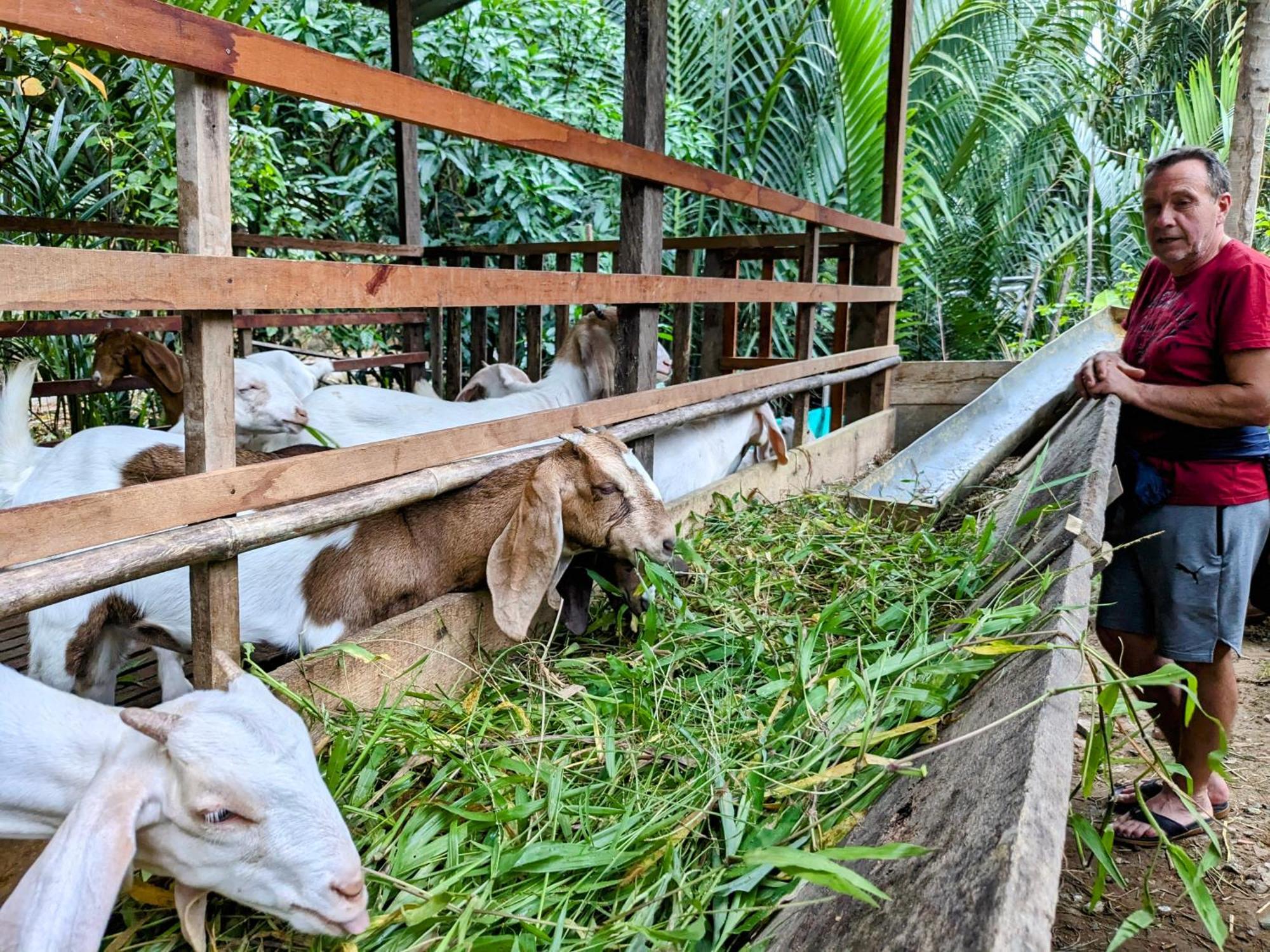 Coco Happy Farm Villa Ben Tre Exteriör bild